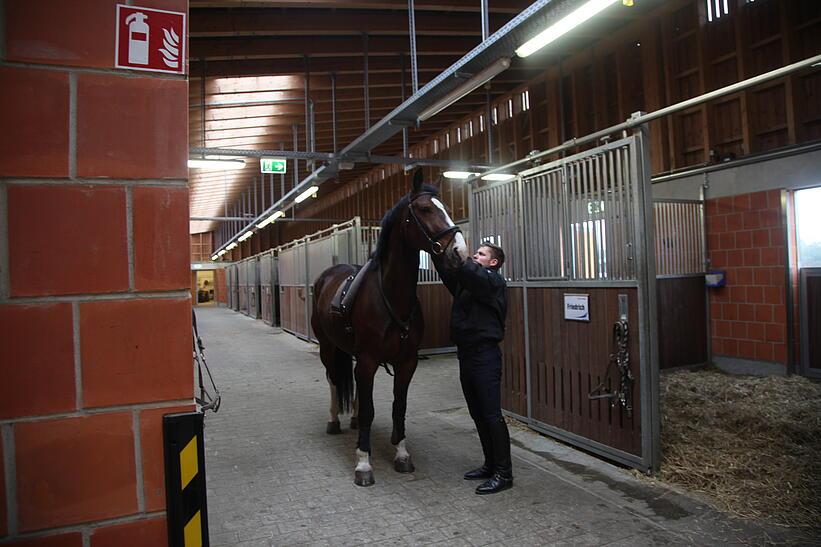 Person mit Pferd in Stall