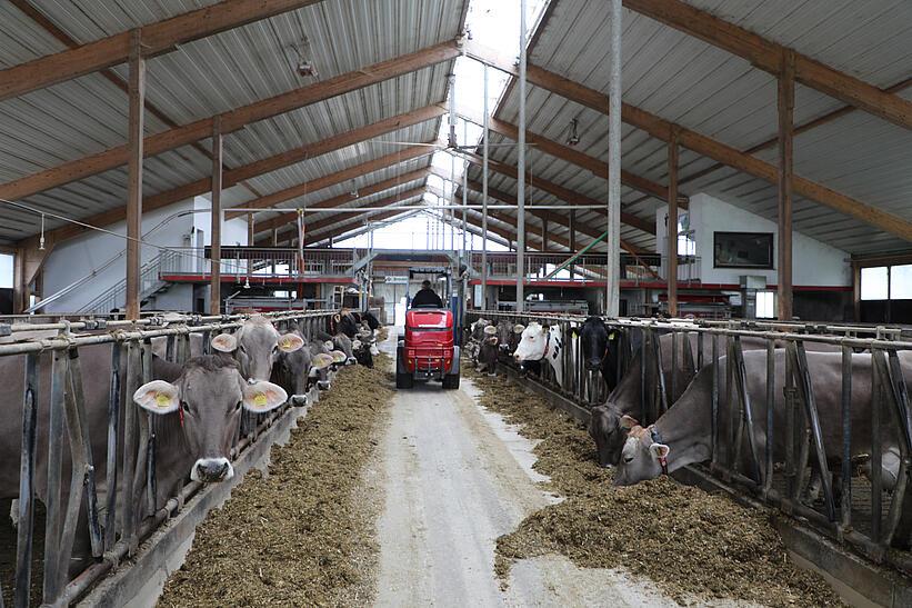 Weidemann Hoftrac 1190e im Einsatz auf einem landwirtschaftlichen Betrieb