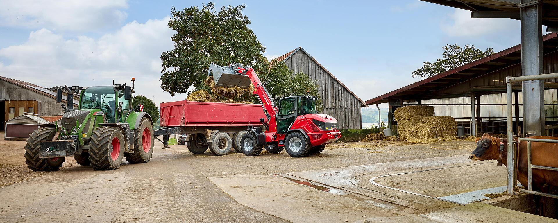 Weidemann telescopic wheel loader 4060T in application with grab bucket, agriculture