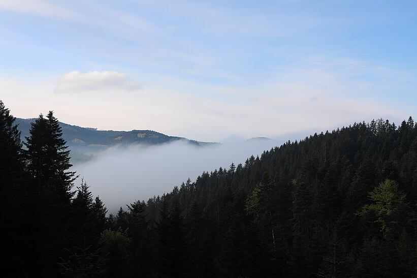 Blick auf den Schwarzwald