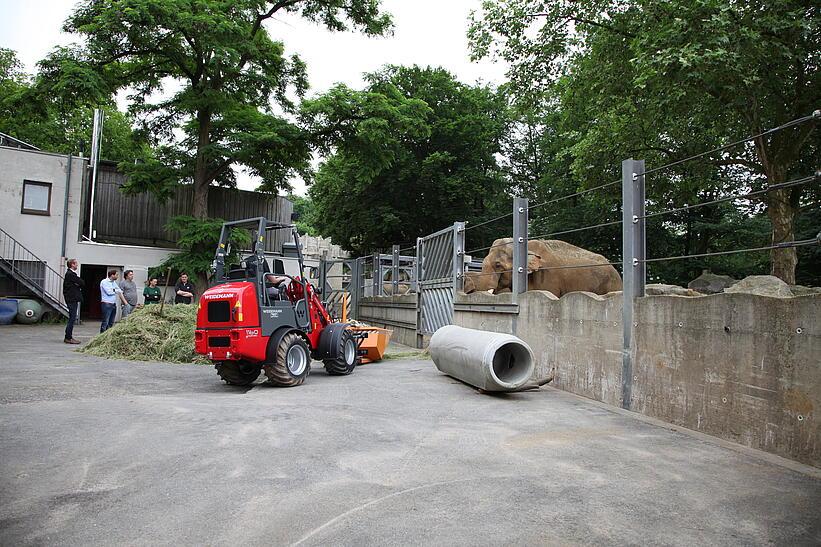 Weidemann 1160 eHoftrac im Einsatz