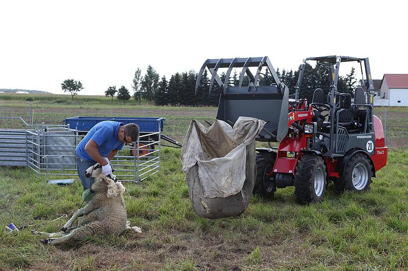 Weidemann Hoftrac 1160 im Einsatz