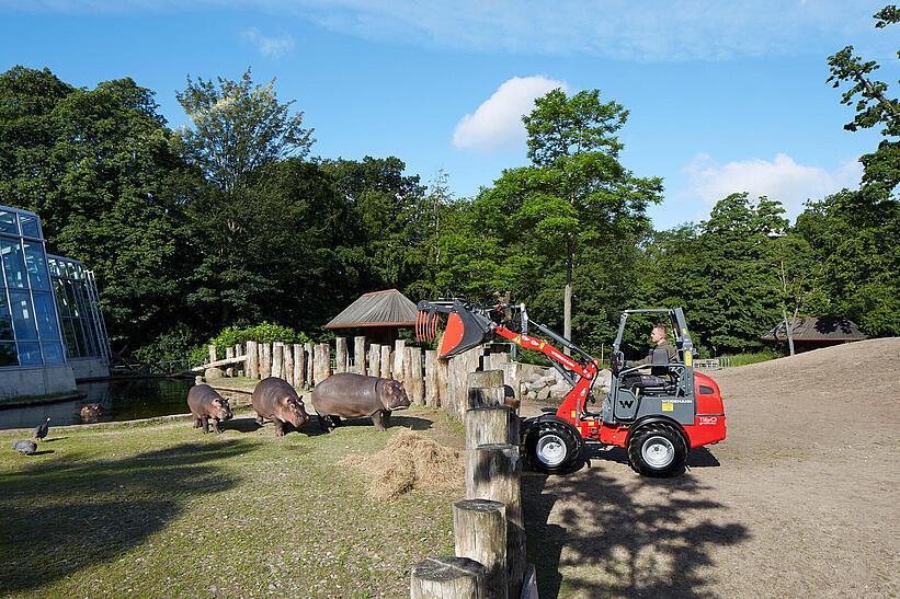 Weidemann 1160 eHoftrac im Einsatz