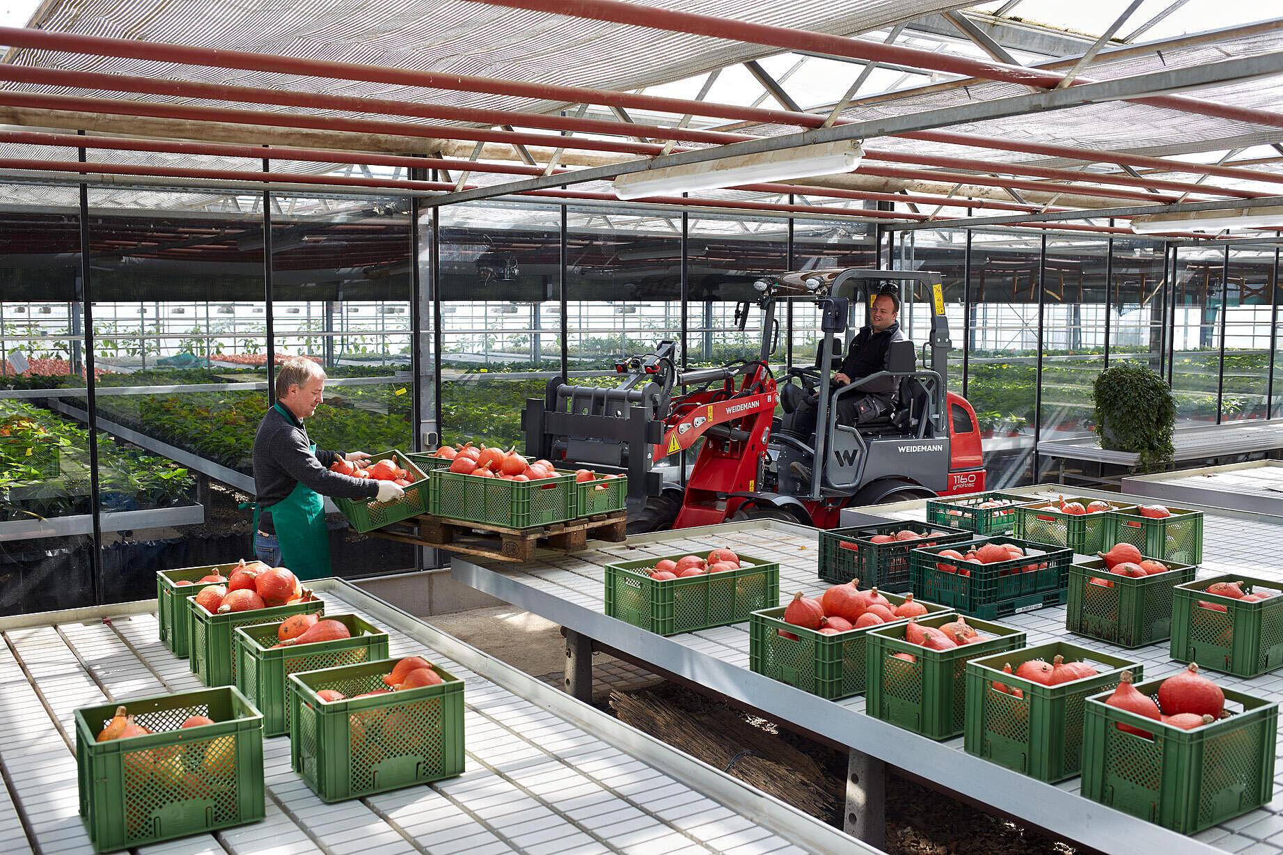 Weidemann Hoftrac 1160e im Einsatz