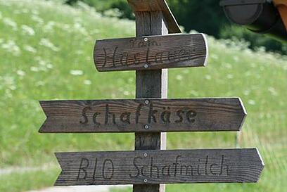 Wegweiser Schild